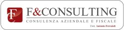 F&CONSULTING