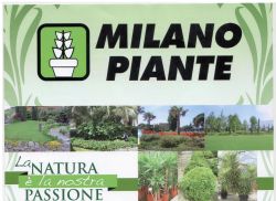 Milano piante